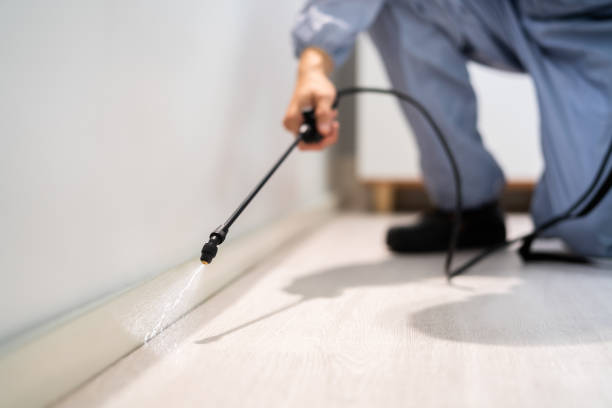 Licensed Pest Control service in Springhill, LA - Show Me Pest Control