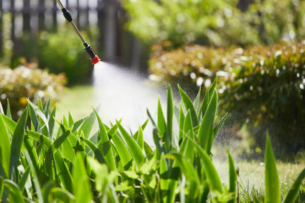 Tamper-Resistant Bait Stations for Rodents in Springhill